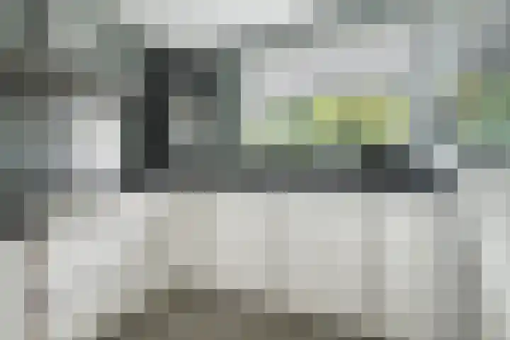 Vorselaar 17 Oosterhout thumbnail 16