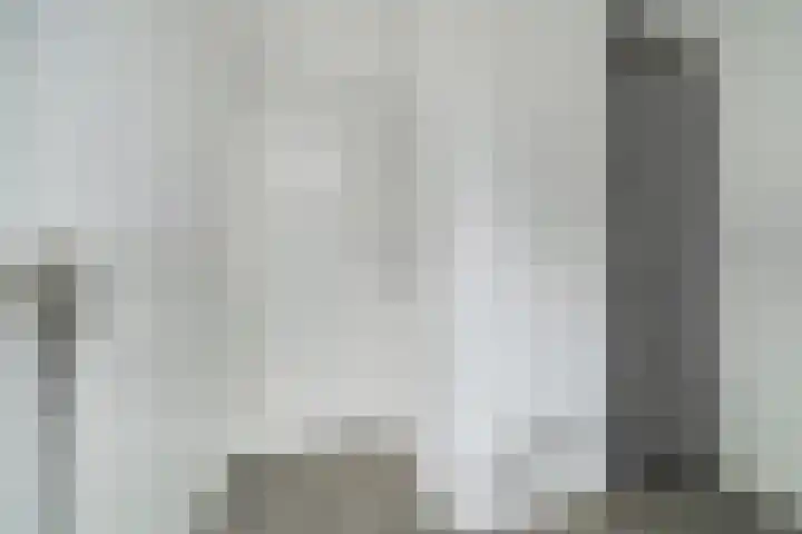 Vorselaar 17 Oosterhout thumbnail 17