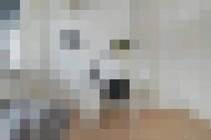 Vorselaar 17 Oosterhout thumbnail 28