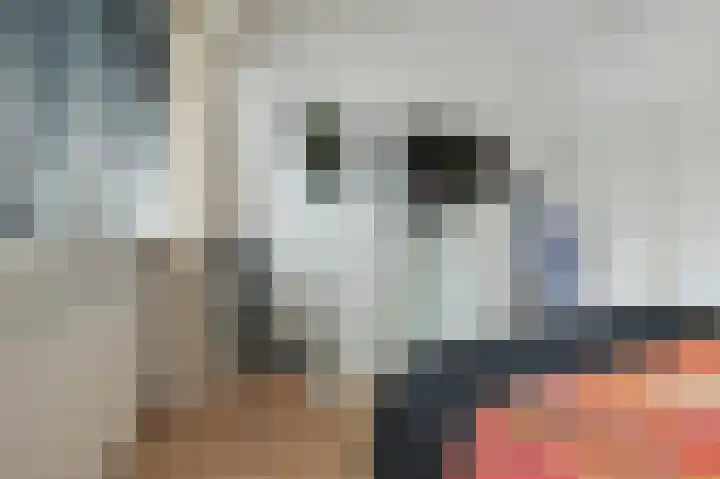 Vorselaar 17 Oosterhout thumbnail 31