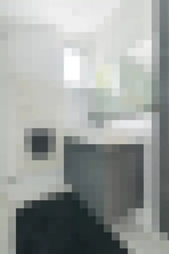 Vorselaar 17 Oosterhout thumbnail 35