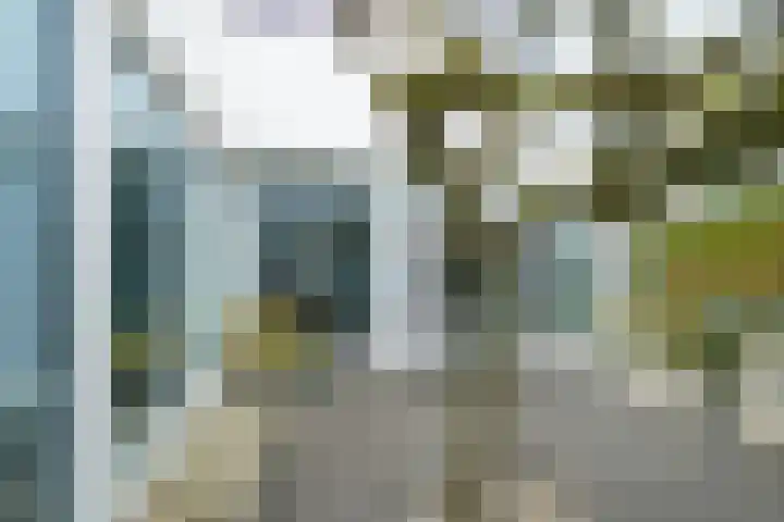 Vorselaar 17 Oosterhout thumbnail 39