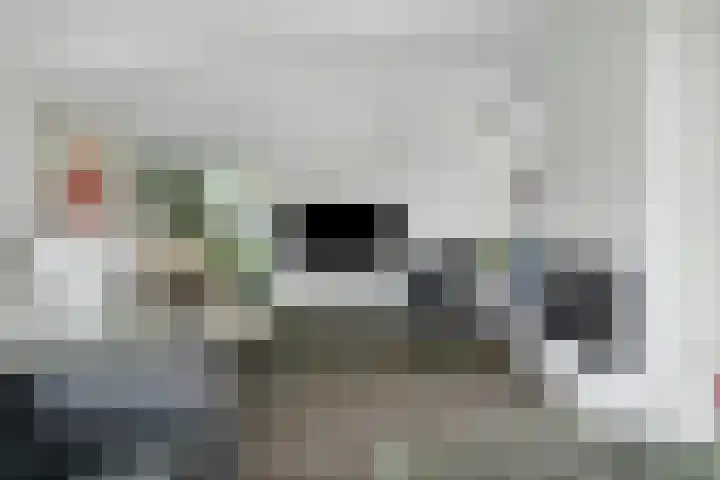 Vorselaar 17 Oosterhout thumbnail 4