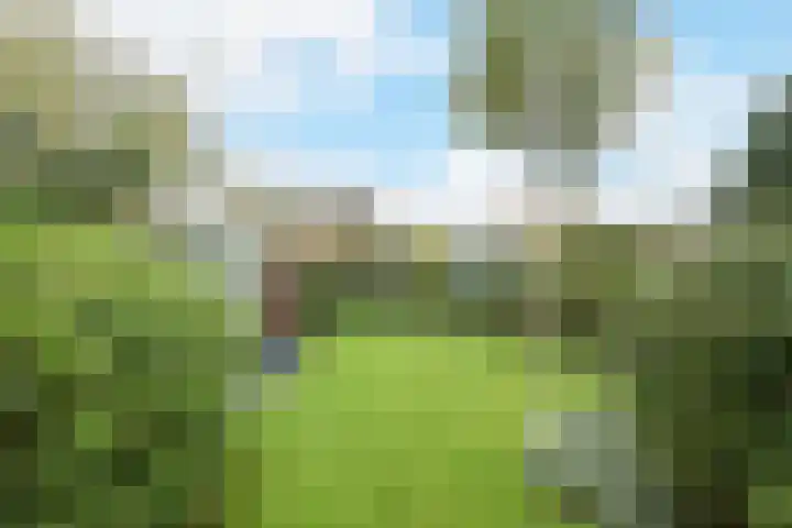 Vorselaar 17 Oosterhout thumbnail 40