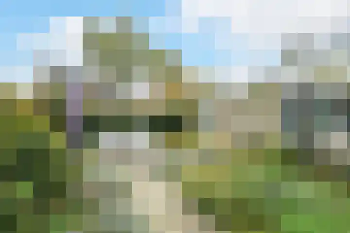 Vorselaar 17 Oosterhout thumbnail 41
