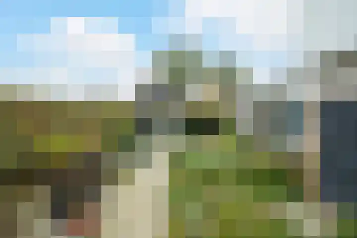 Vorselaar 17 Oosterhout thumbnail 42