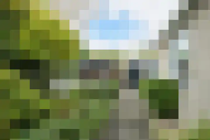Vorselaar 17 Oosterhout thumbnail 43