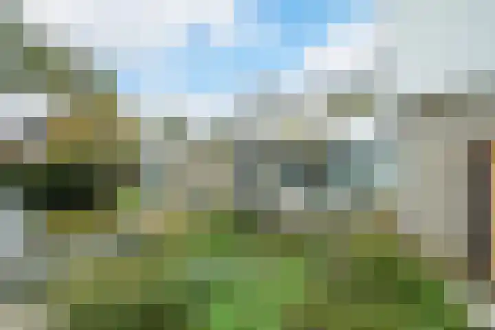 Vorselaar 17 Oosterhout thumbnail 44