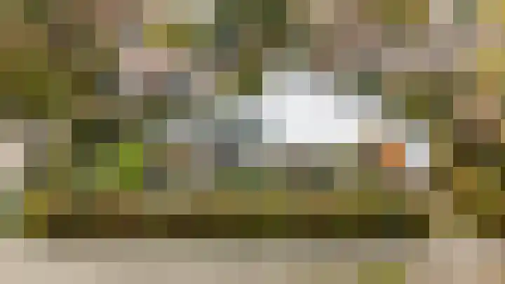 Vorselaar 17 Oosterhout thumbnail 45