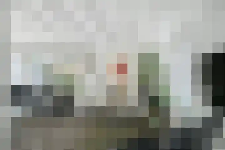 Vorselaar 17 Oosterhout thumbnail 7