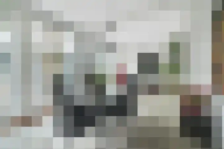 Vorselaar 17 Oosterhout thumbnail 9