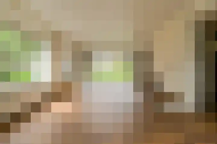 Vorselaar 4 Oosterhout thumbnail 11