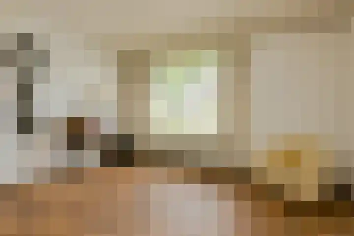 Vorselaar 4 Oosterhout thumbnail 14