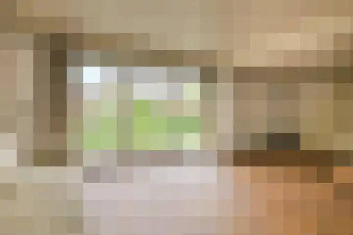 Vorselaar 4 Oosterhout thumbnail 16
