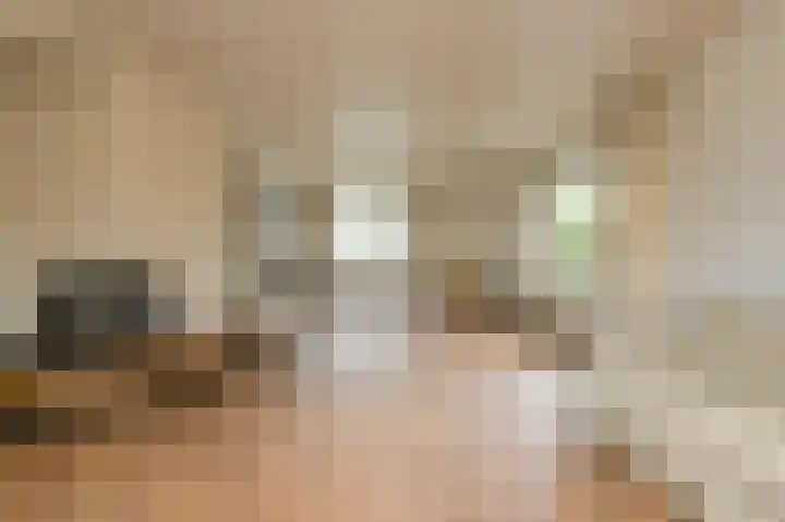 Vorselaar 4 Oosterhout thumbnail 17