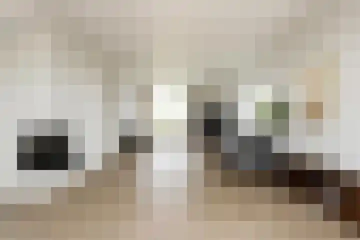 Vorselaar 4 Oosterhout thumbnail 18