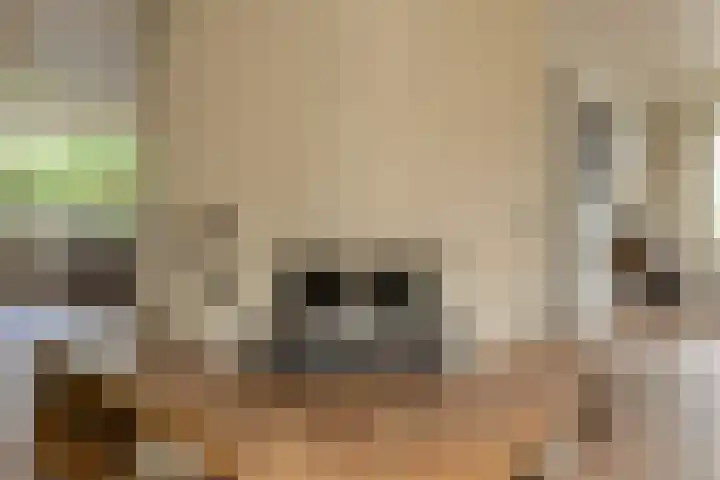 Vorselaar 4 Oosterhout thumbnail 21