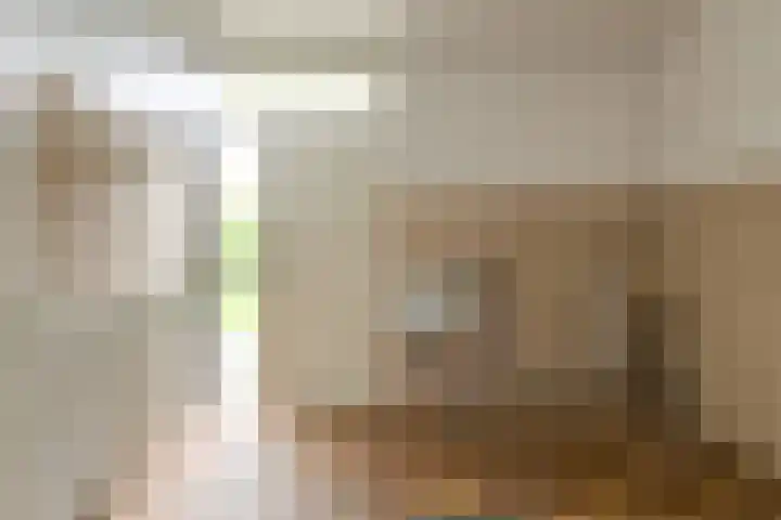Vorselaar 4 Oosterhout thumbnail 34