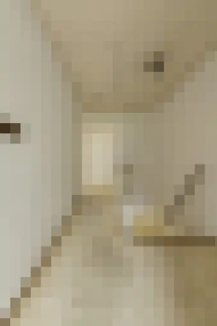 Vorselaar 4 Oosterhout thumbnail 36