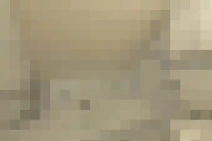 Vorselaar 4 Oosterhout thumbnail 41