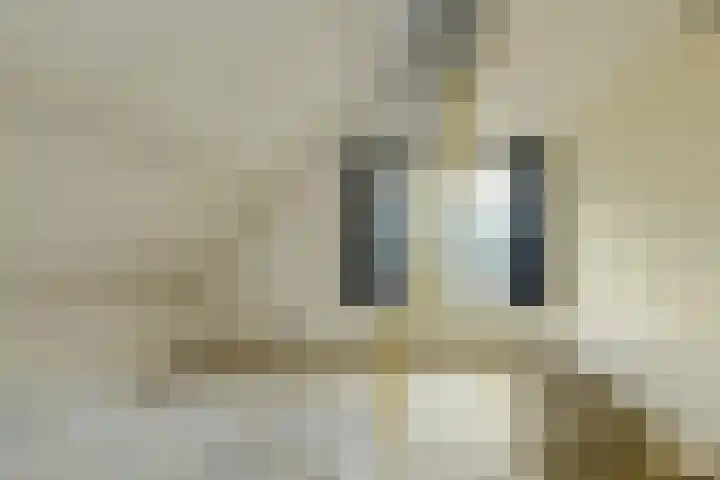 Vorselaar 4 Oosterhout thumbnail 43