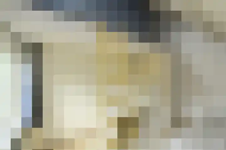 Vorselaar 4 Oosterhout thumbnail 45