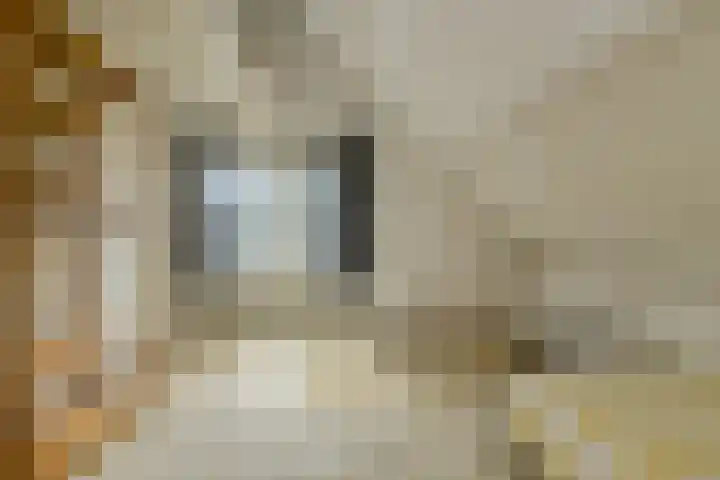 Vorselaar 4 Oosterhout thumbnail 48