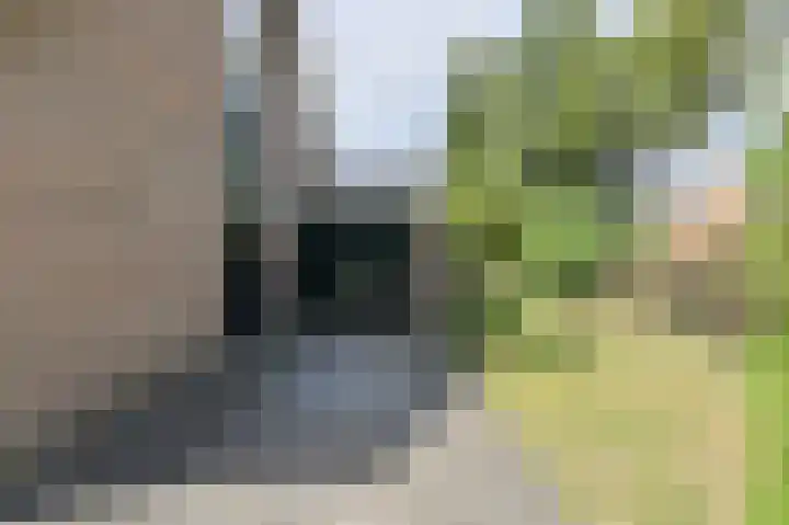 Vorselaar 4 Oosterhout thumbnail 5