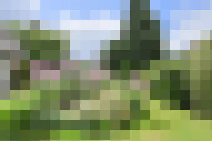 Vorselaar 4 Oosterhout thumbnail 53