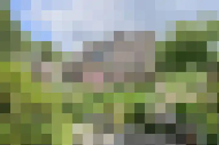 Vorselaar 4 Oosterhout thumbnail 54