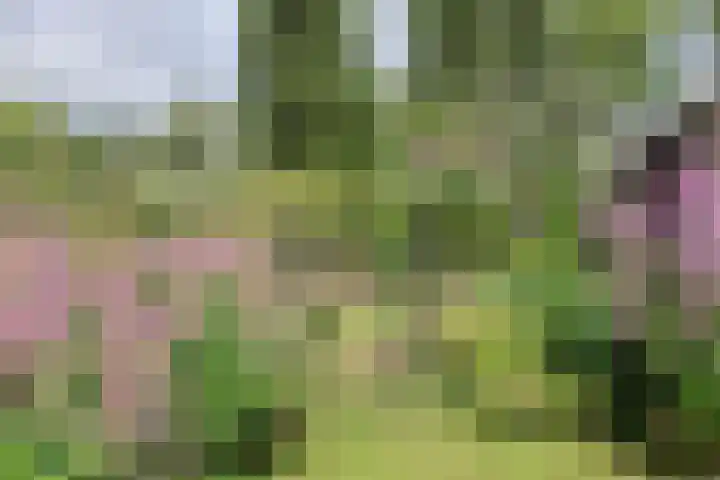 Vorselaar 4 Oosterhout thumbnail 58