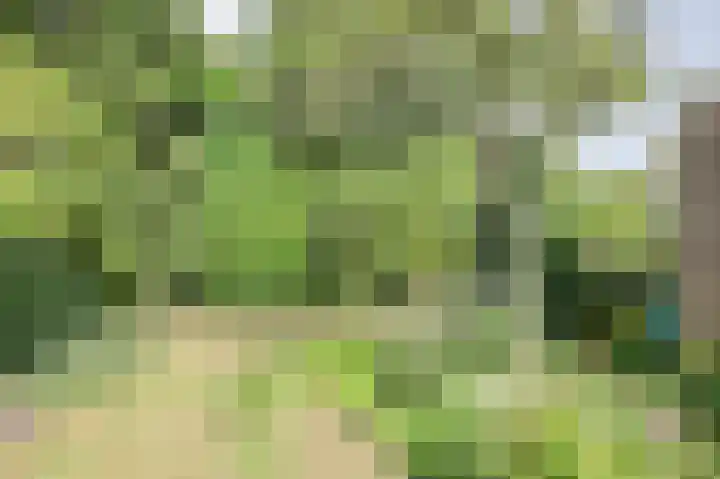 Vorselaar 4 Oosterhout thumbnail 59