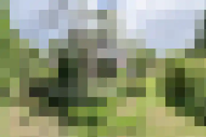 Vorselaar 4 Oosterhout thumbnail 60