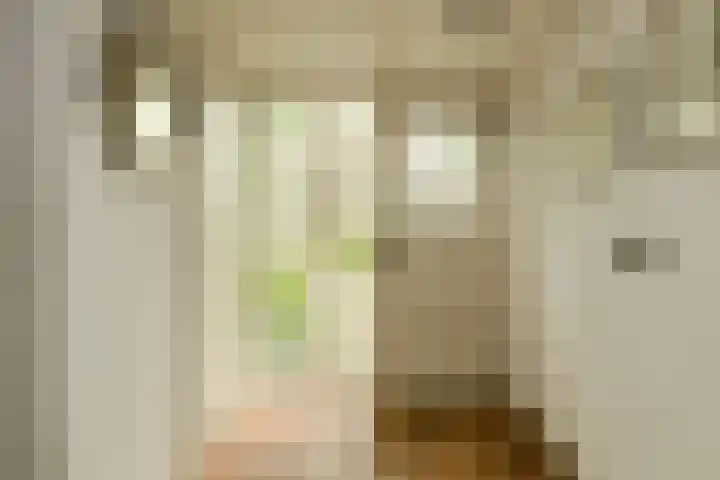 Vorselaar 4 Oosterhout thumbnail 7