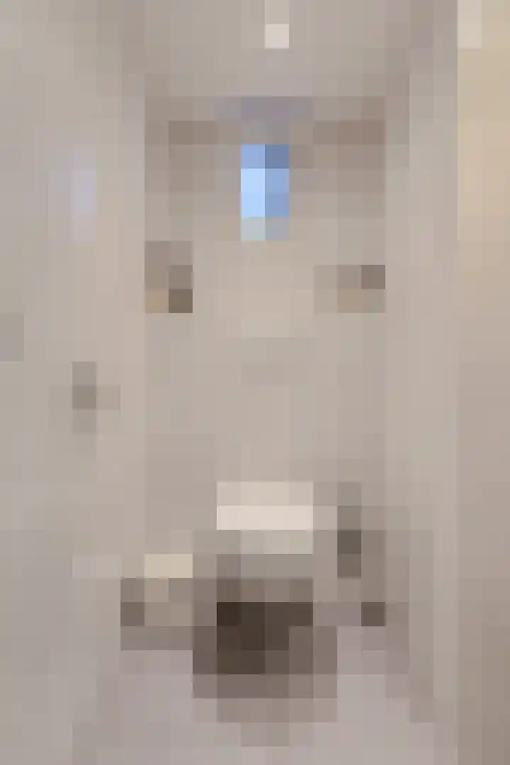 Vorselaar 4 Oosterhout thumbnail 8
