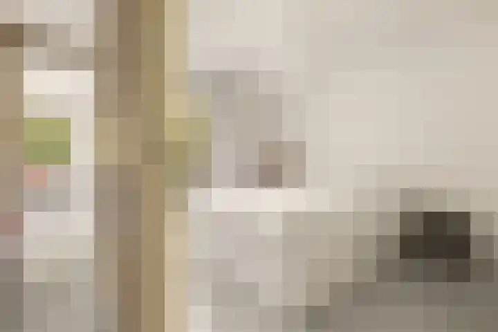 Vorselaarstraat 10 Amsterdam thumbnail 11