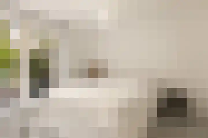 Vorselaarstraat 10 Amsterdam thumbnail 12