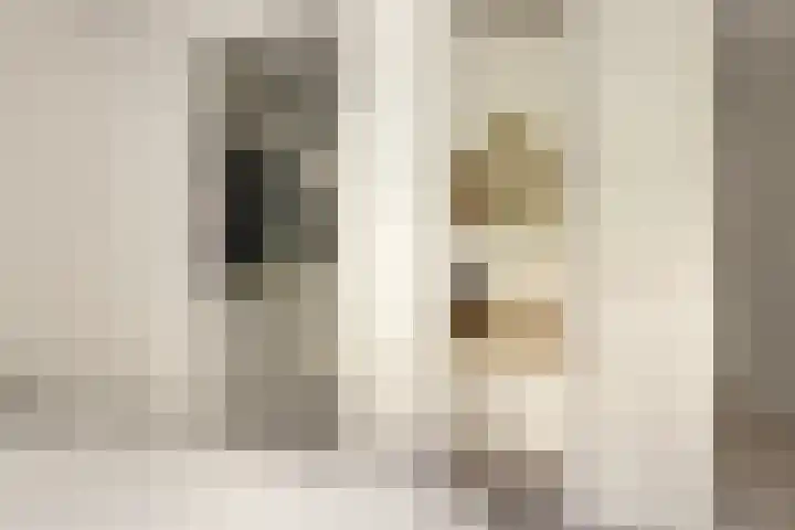 Vorselaarstraat 10 Amsterdam thumbnail 16