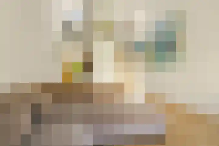 Vorselaarstraat 10 Amsterdam thumbnail 37
