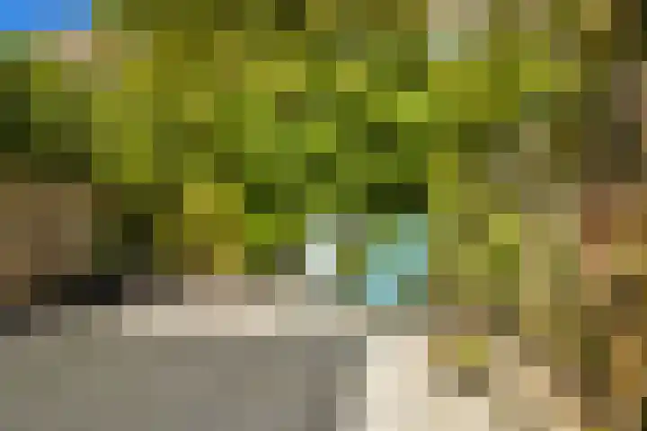 Vorselaarstraat 10 Amsterdam thumbnail 5