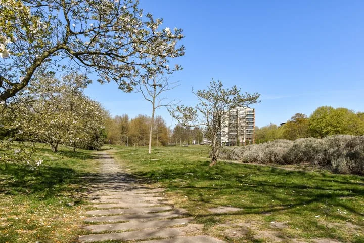 Vorselaarstraat 38 Amsterdam thumbnail 29