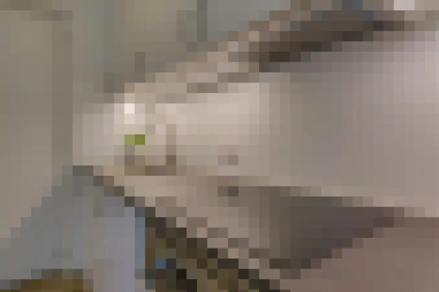 Vorselaarstraat 8 Eindhoven thumbnail 15