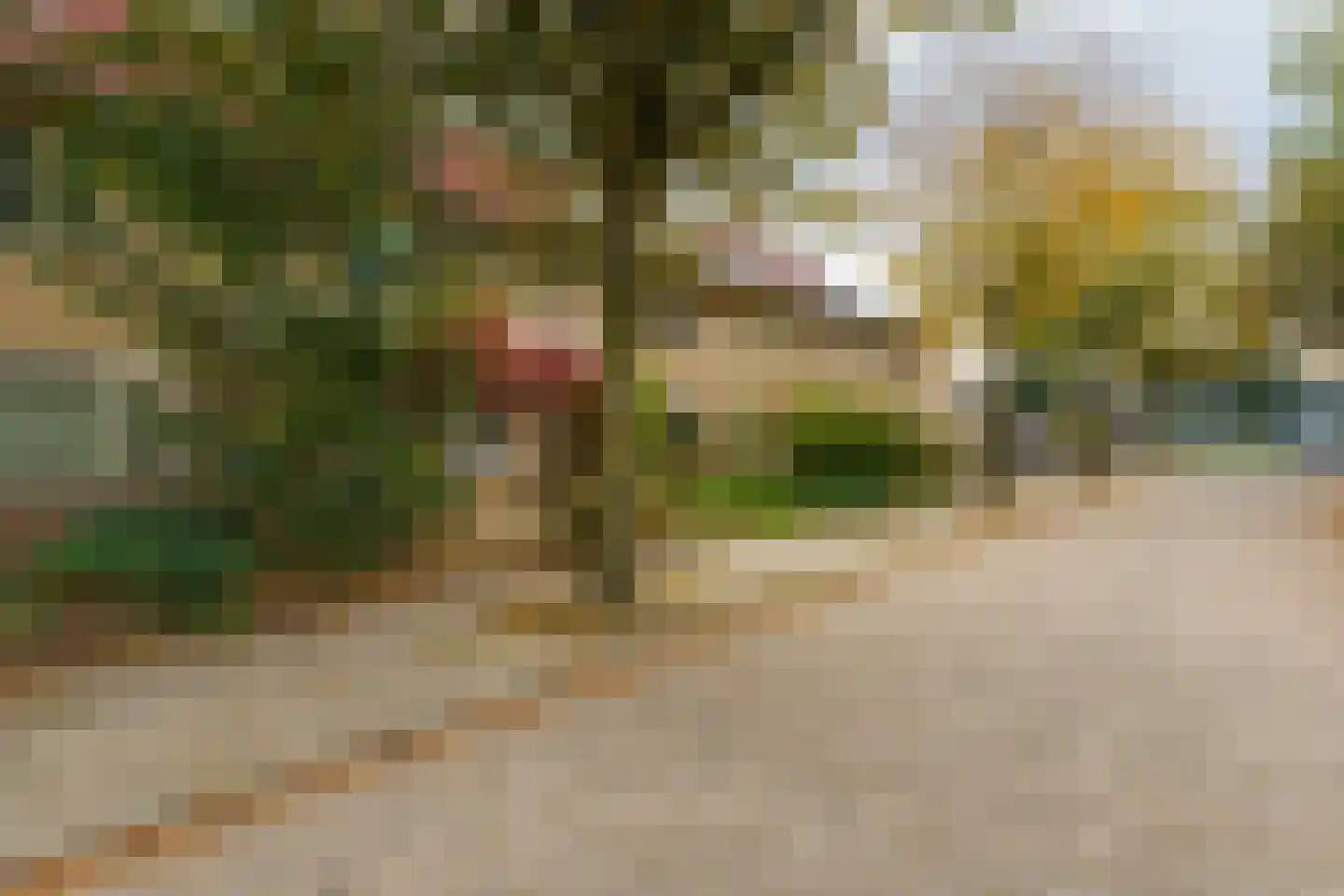 Vorselaarstraat 8 Eindhoven thumbnail 25