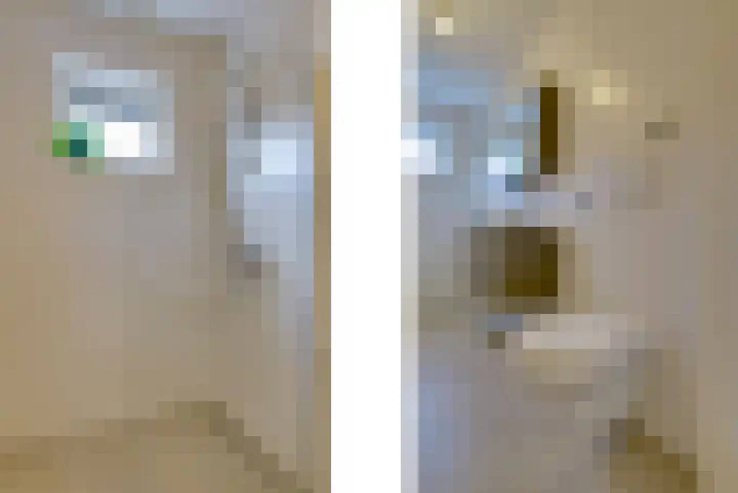 Vorselaarstraat 8 Eindhoven thumbnail 5