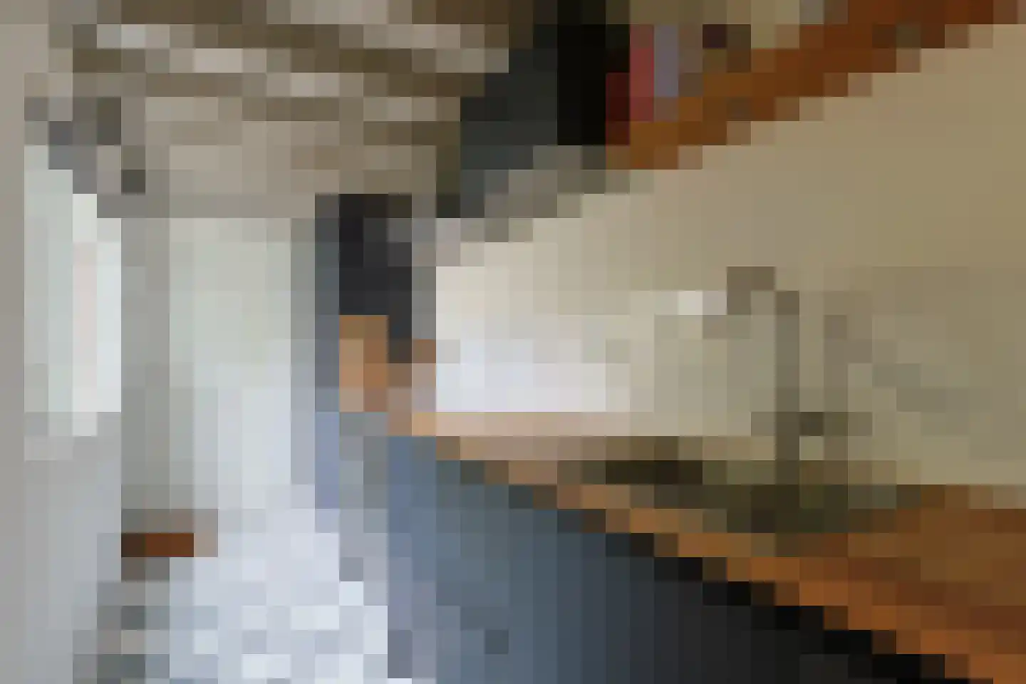 Vorselenburgstraat 13 Alphen aan den Rijn thumbnail 17