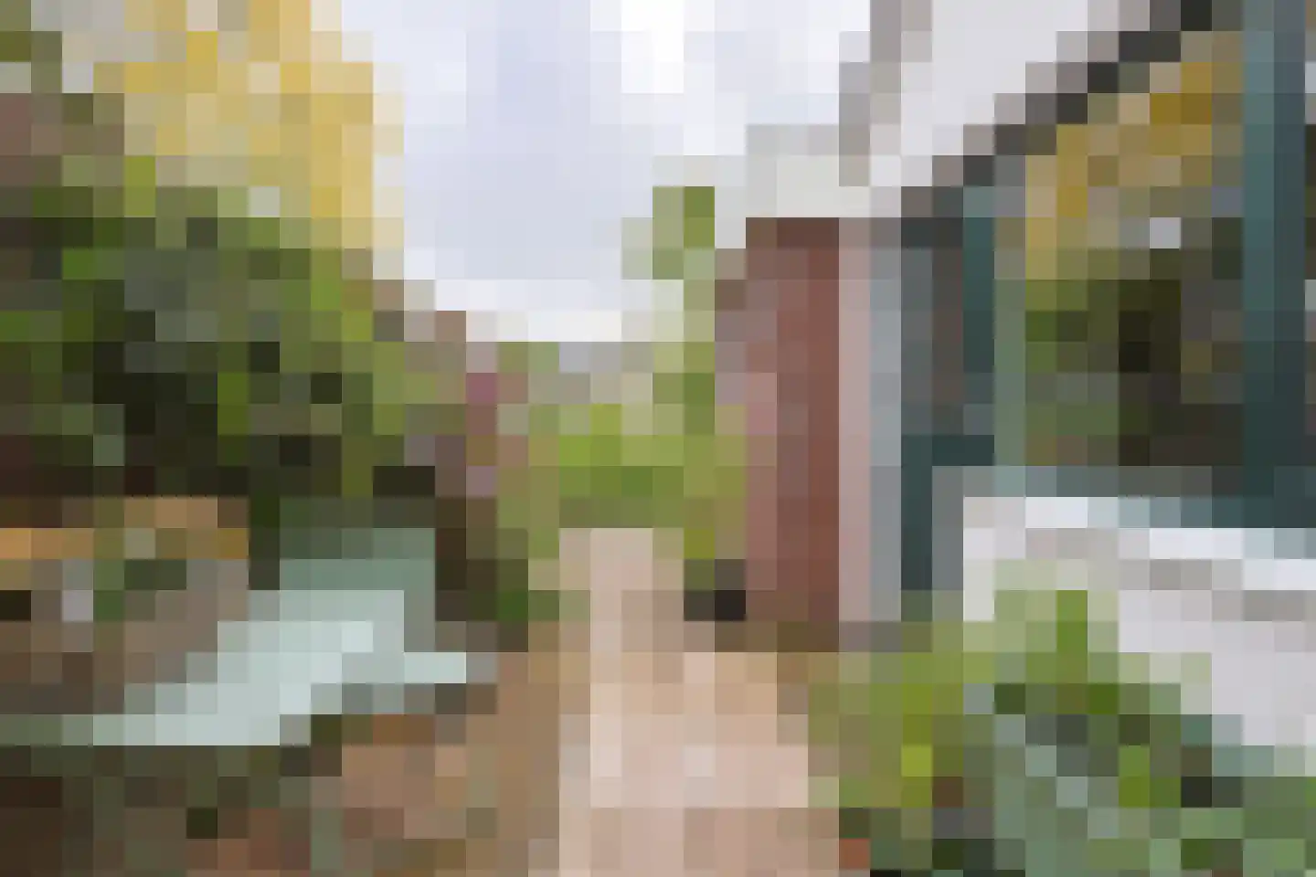 Vorselenburgstraat 13 Alphen aan den Rijn thumbnail 41