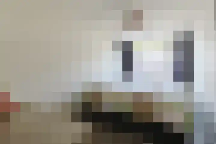 Vorselenburgstraat 20 Alphen aan den Rijn thumbnail 20