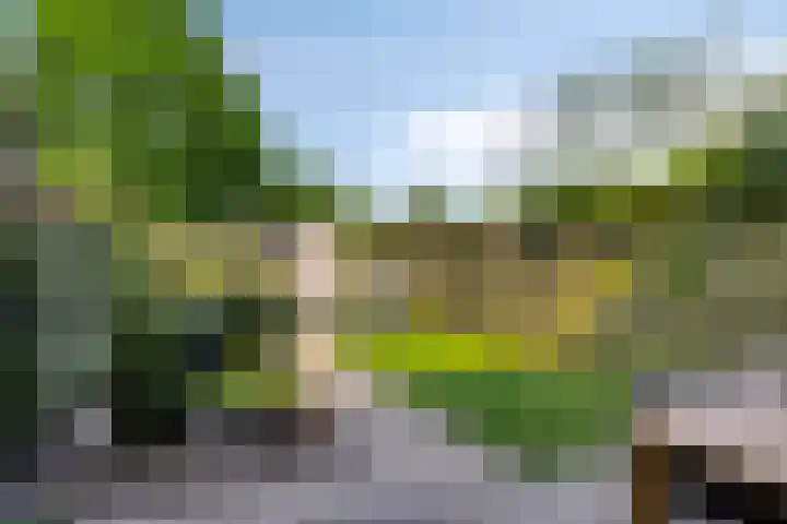 Vorsenpoel 38 Boxtel thumbnail 19
