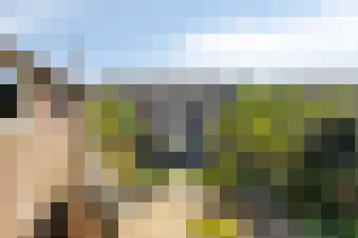 Vorsenpoel 38 Boxtel thumbnail 21