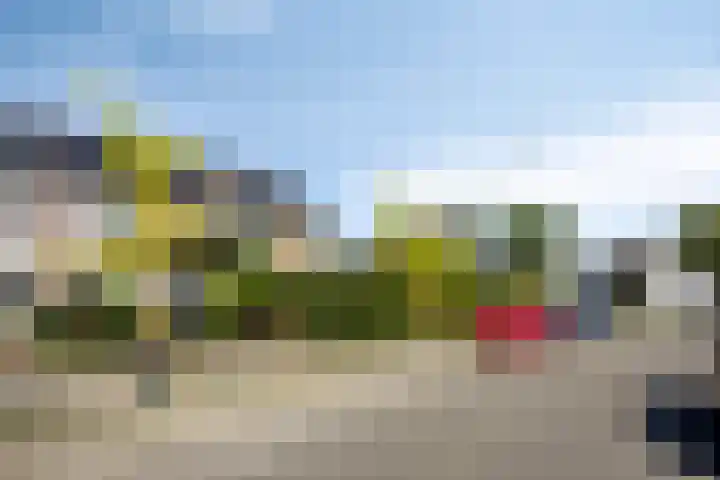 Vorsenpoel 38 Boxtel thumbnail 22